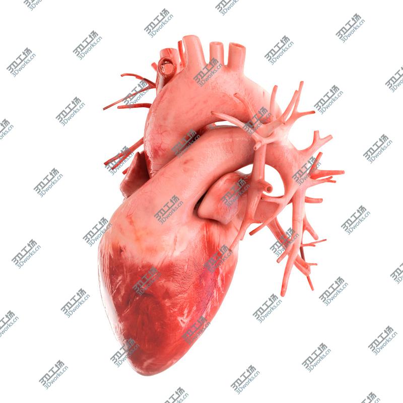 images/goods_img/2021040164/Human heart animated v3. Vray ready materials and scene of human heart/3.jpg
